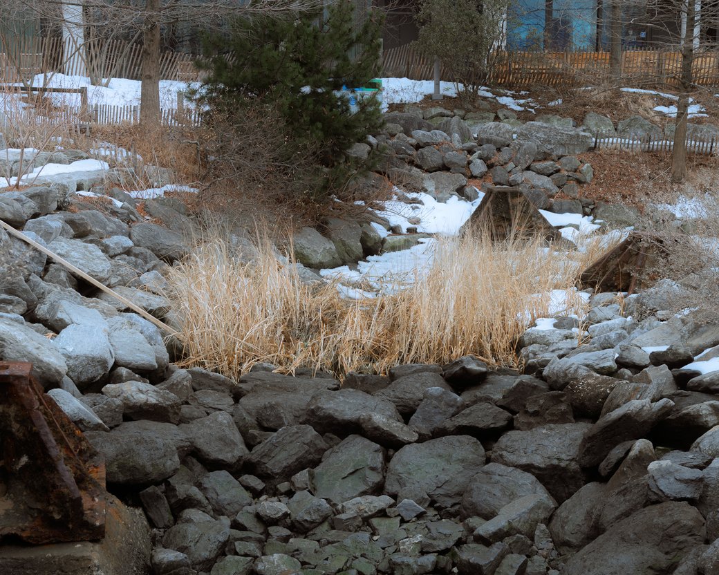 Rocky drainage area with winter grasses, scattered snow, and a small evergreen.